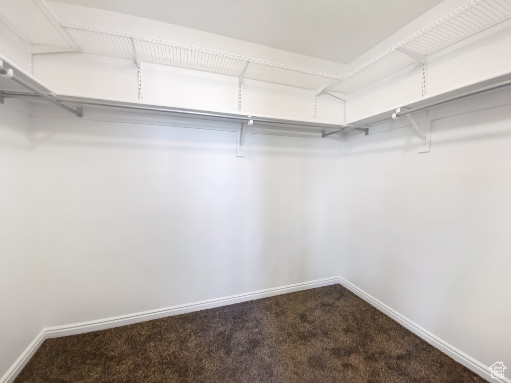 Walk in closet with dark colored carpet