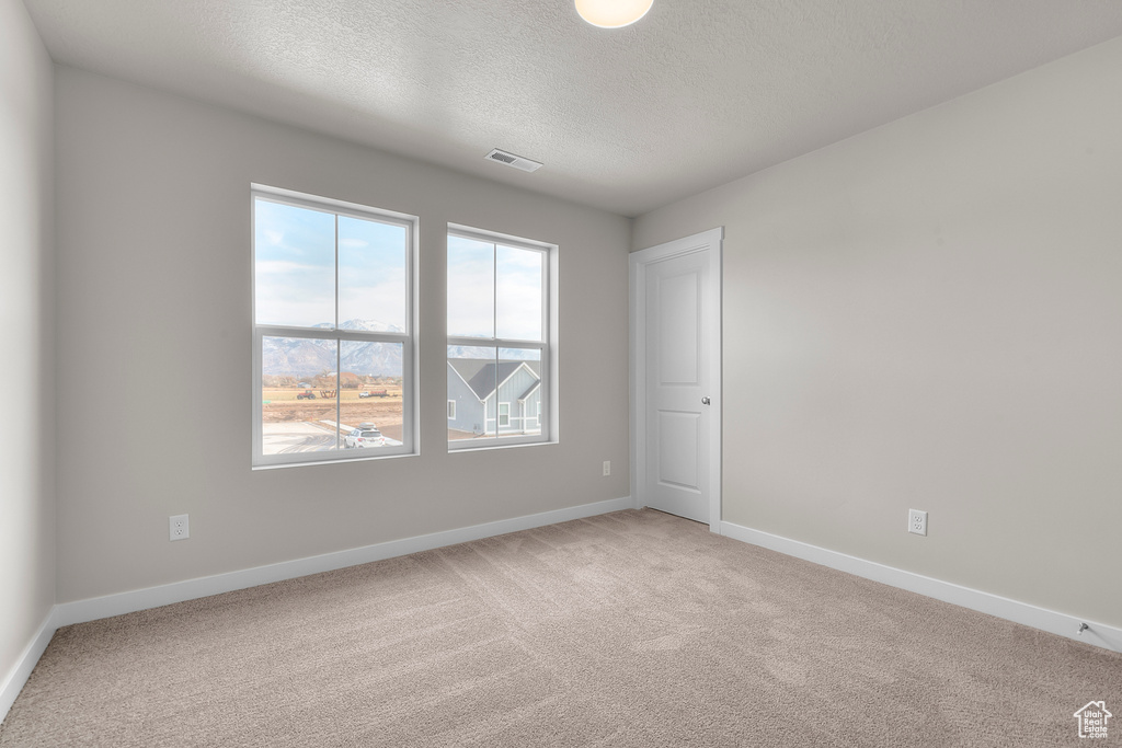 Unfurnished room featuring a textured ceiling, light colored carpet, and baseboards