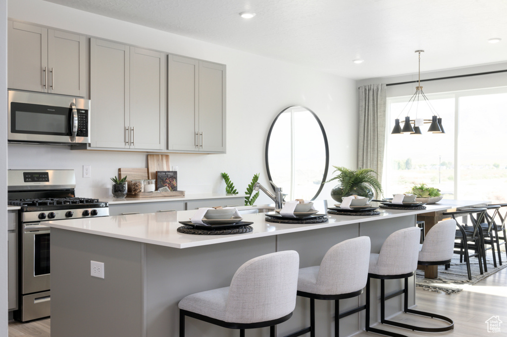 Kitchen with stainless steel appliances, gray cabinetry, an island with sink, light countertops, and light wood finished floors