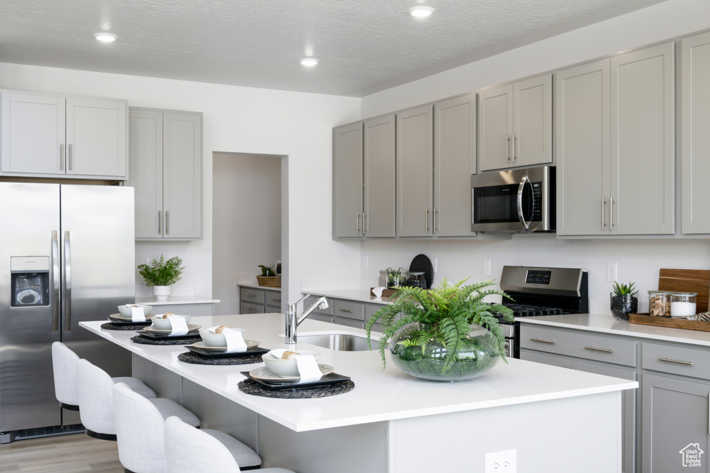 Kitchen with appliances with stainless steel finishes, gray cabinetry, a sink, a center island with sink, and light countertops