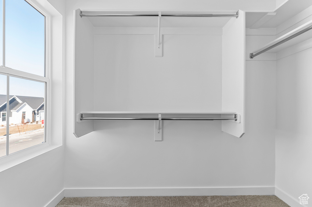 Spacious closet featuring carpet flooring