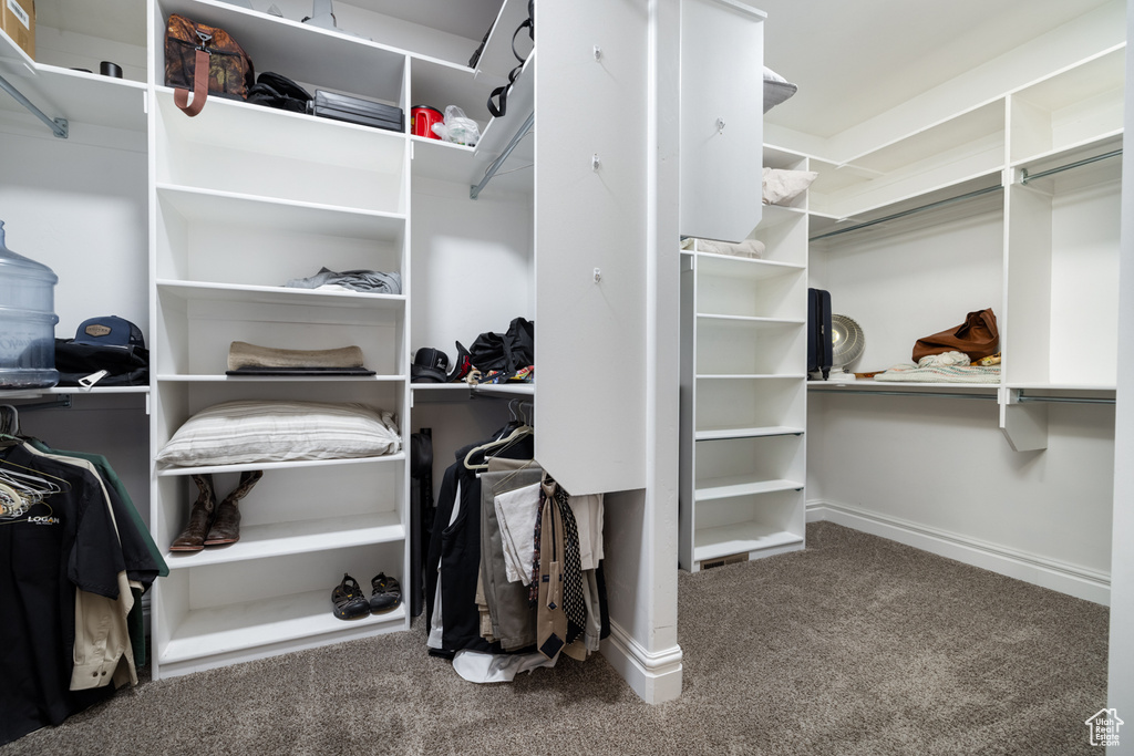 Walk in closet featuring carpet