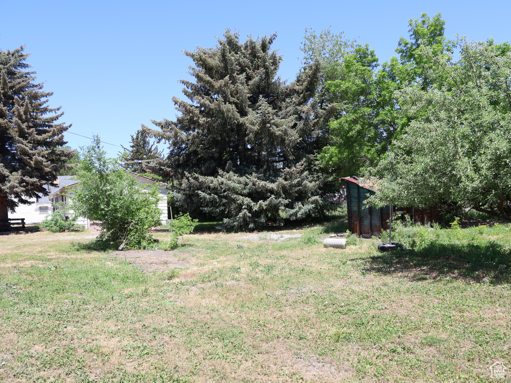 View of green lawn