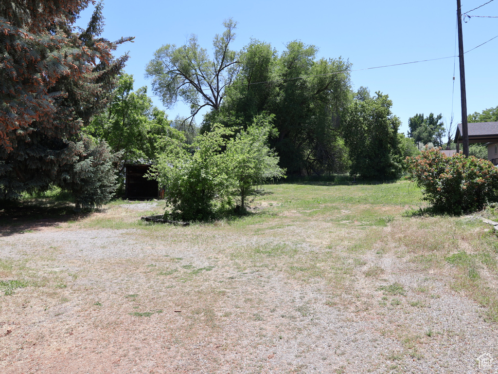 View of yard