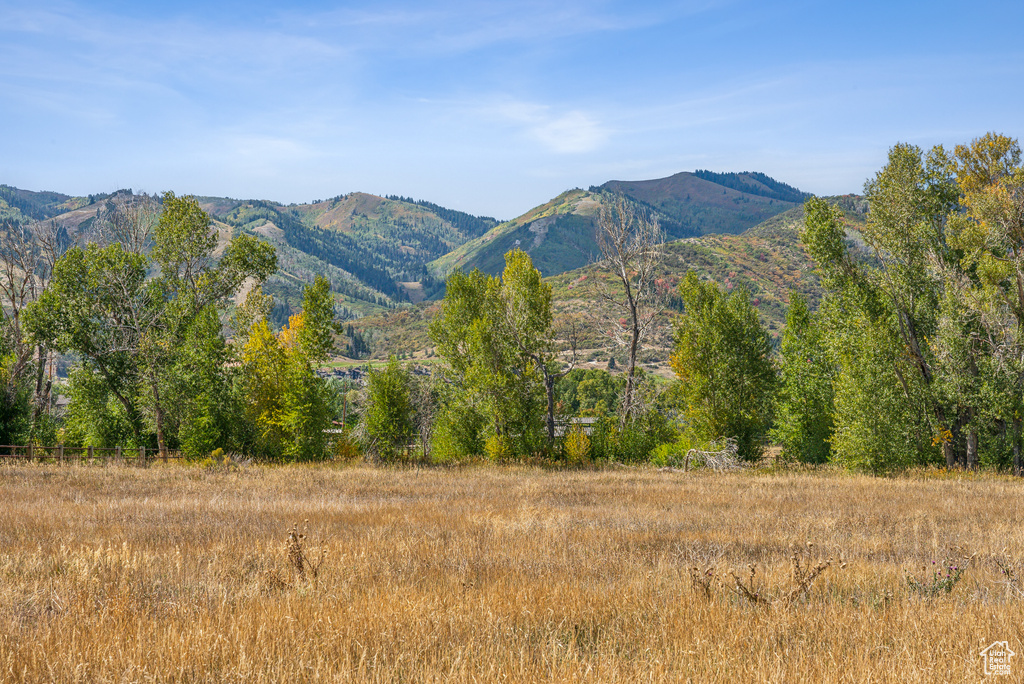 View of mountain background
