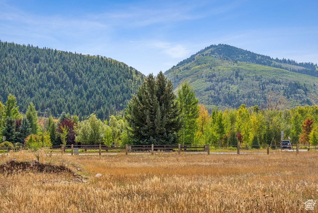 View of mountain background with a heavily wooded area and rural landscape