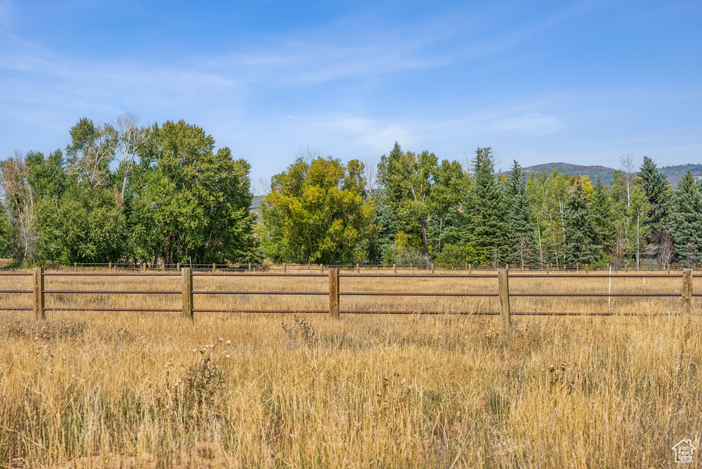 View of yard with a rural view