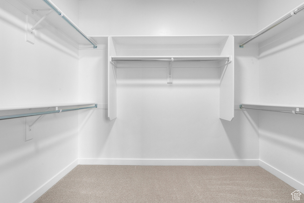 Walk in closet featuring carpet floors