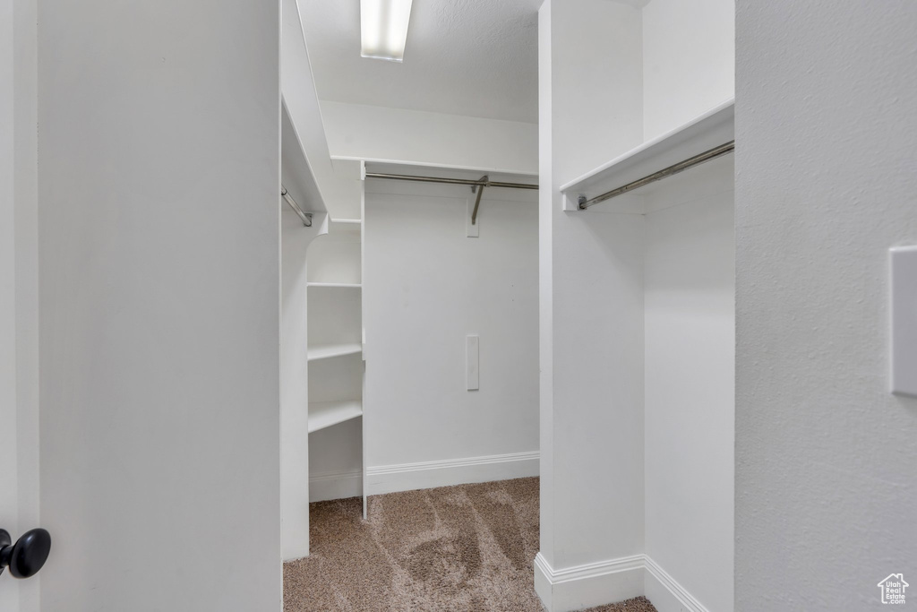 Walk in closet featuring carpet floors