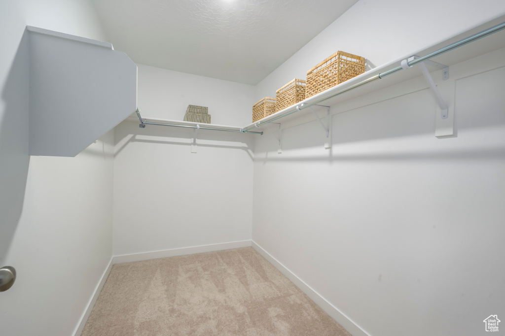 Walk in closet with light carpet