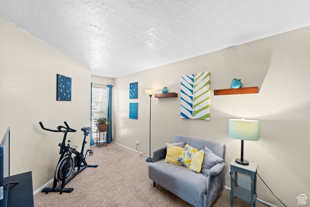 Workout area featuring carpet, a textured ceiling, and baseboards