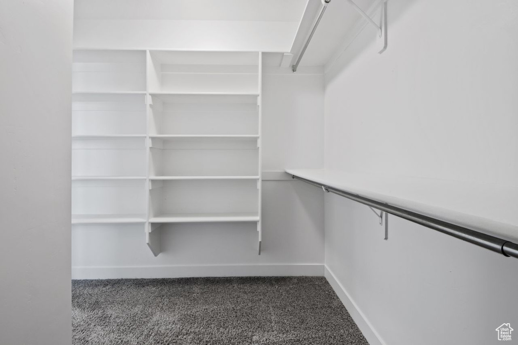 Spacious closet featuring dark carpet