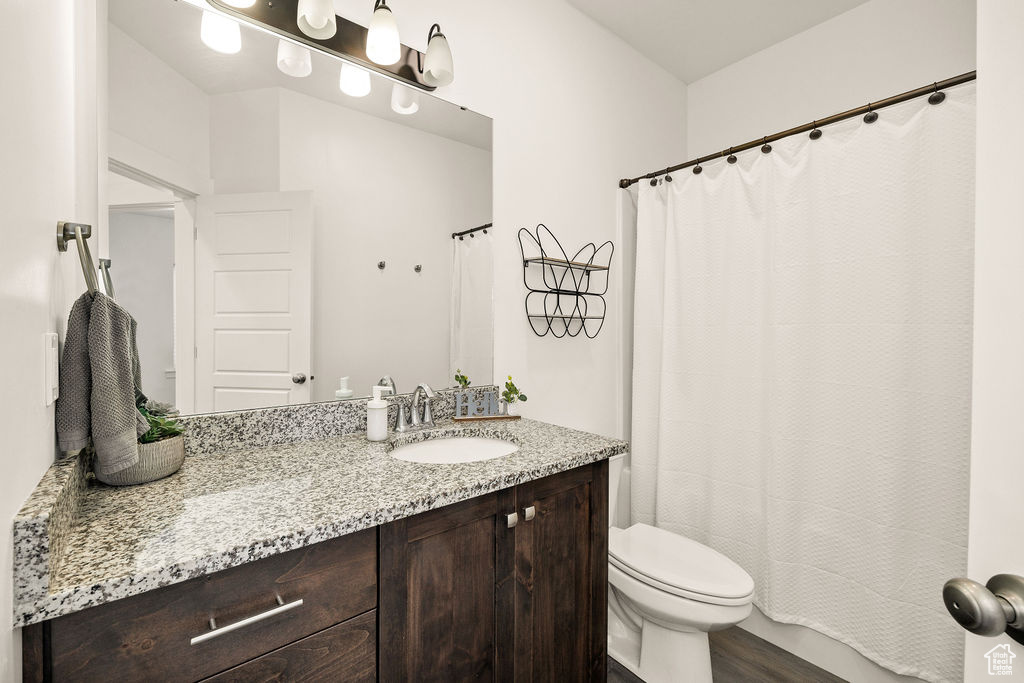 Bathroom featuring vanity, toilet, wood finished floors, and a shower with curtain