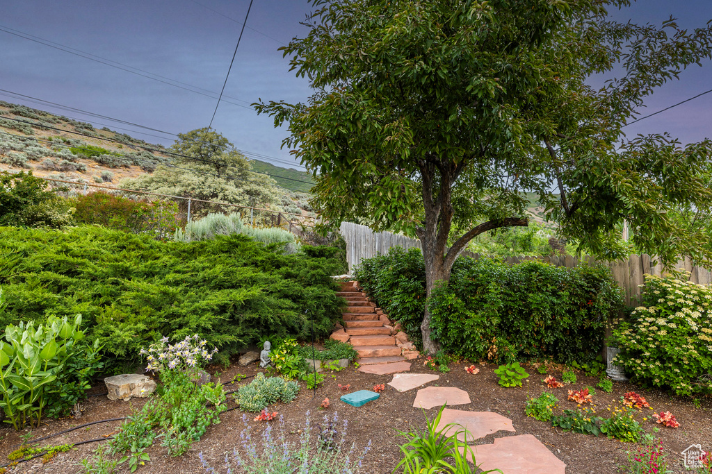 View of yard with stairs