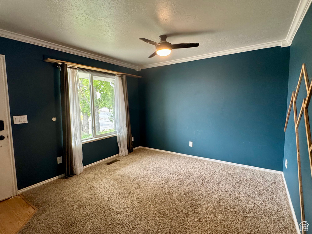 Spare room featuring a ceiling fan, carpet flooring, crown molding, a textured ceiling, and baseboards