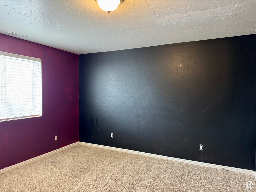 Empty room featuring carpet, baseboards, and a textured ceiling
