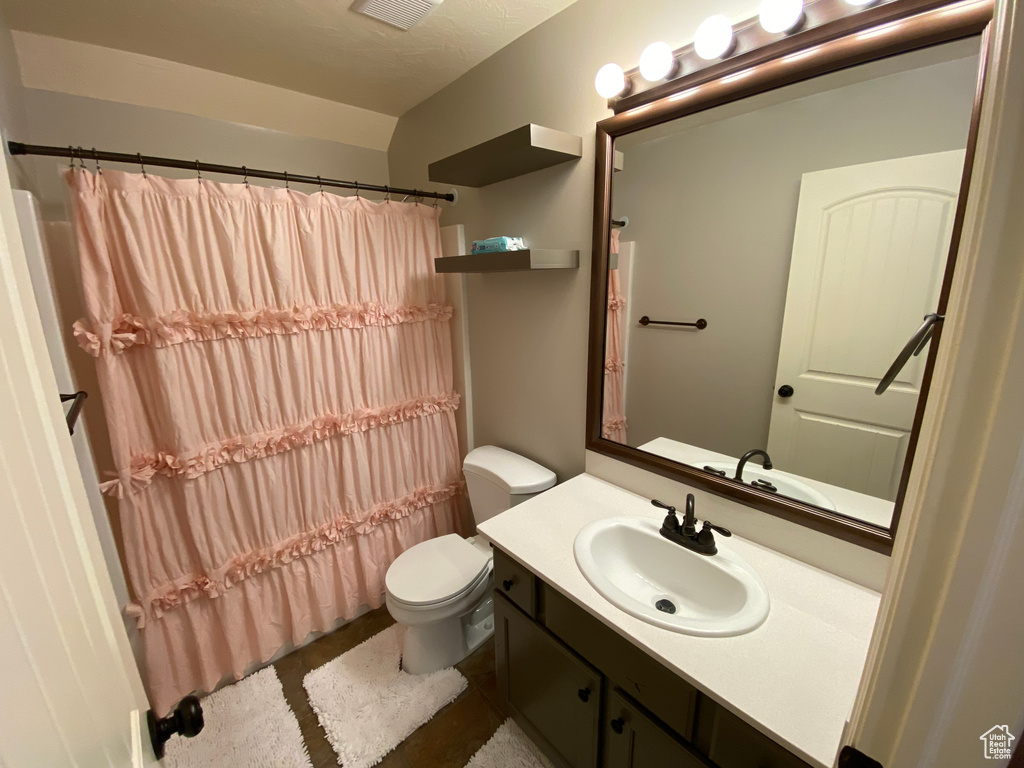 Full bathroom featuring toilet, vanity, and a shower with shower curtain