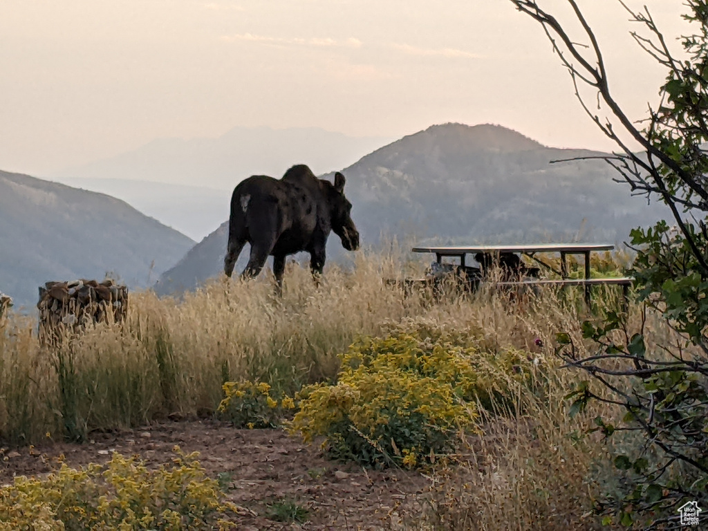 View of mountain backdrop