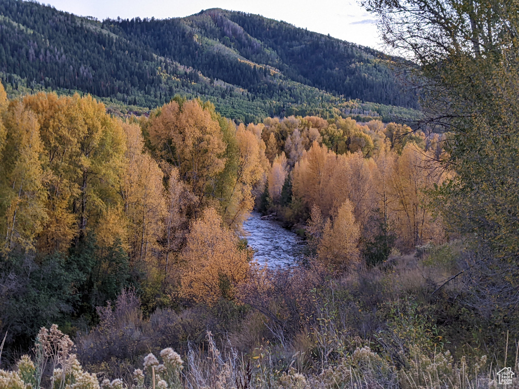 Mountain view with a heavily wooded area
