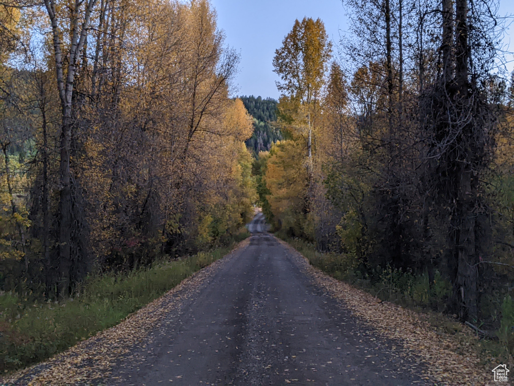 View of asphalt street with a view of trees