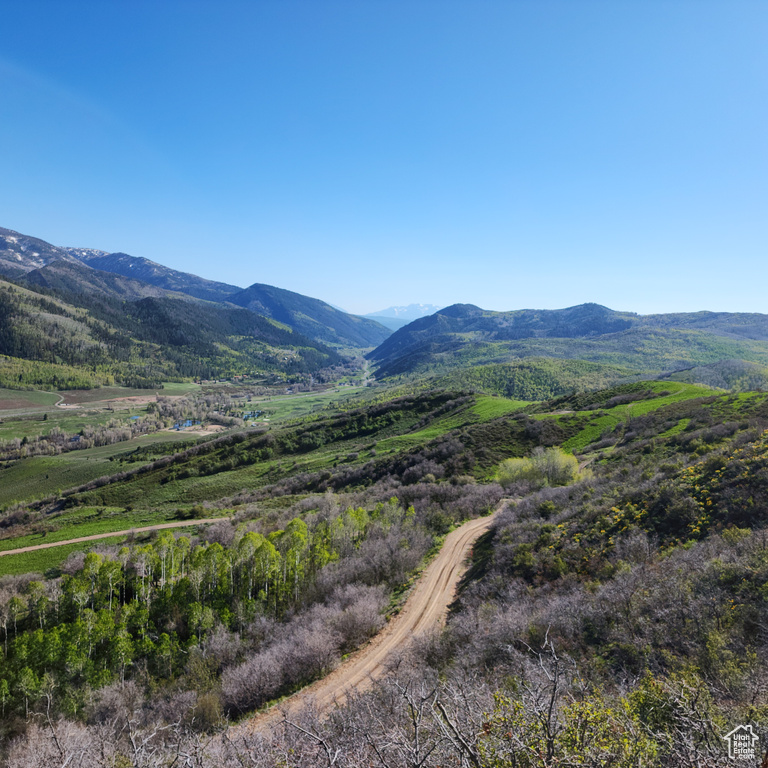 Mountain view