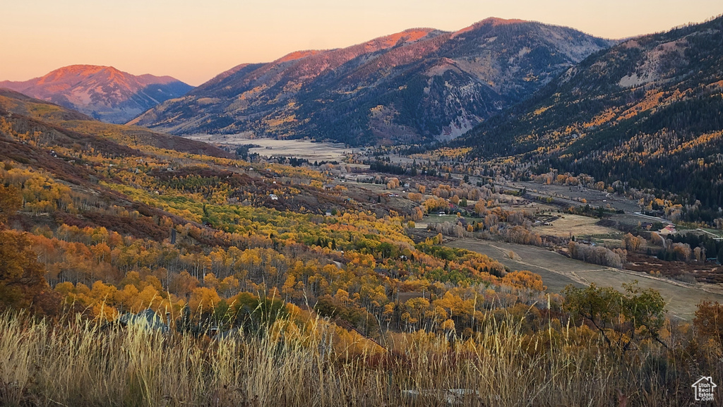 View of mountain backdrop featuring a forest