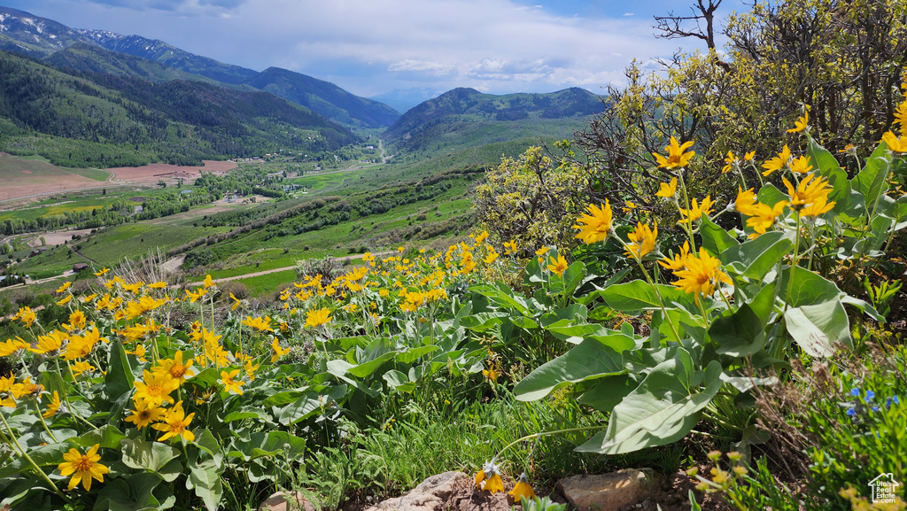 View of mountain backdrop