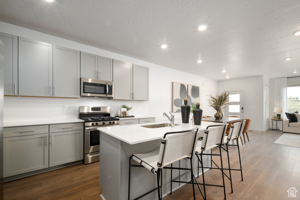 Kitchen with appliances with stainless steel finishes, a sink, gray cabinetry, dark wood-style flooring, and recessed lighting