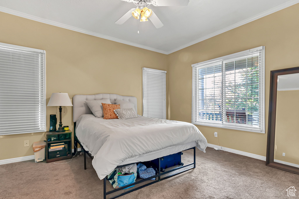 Bedroom featuring crown molding, carpet flooring, baseboards, and ceiling fan