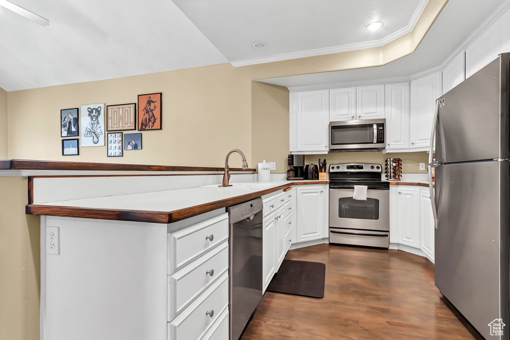 Kitchen featuring appliances with stainless steel finishes, a peninsula, a sink, white cabinets, and crown molding