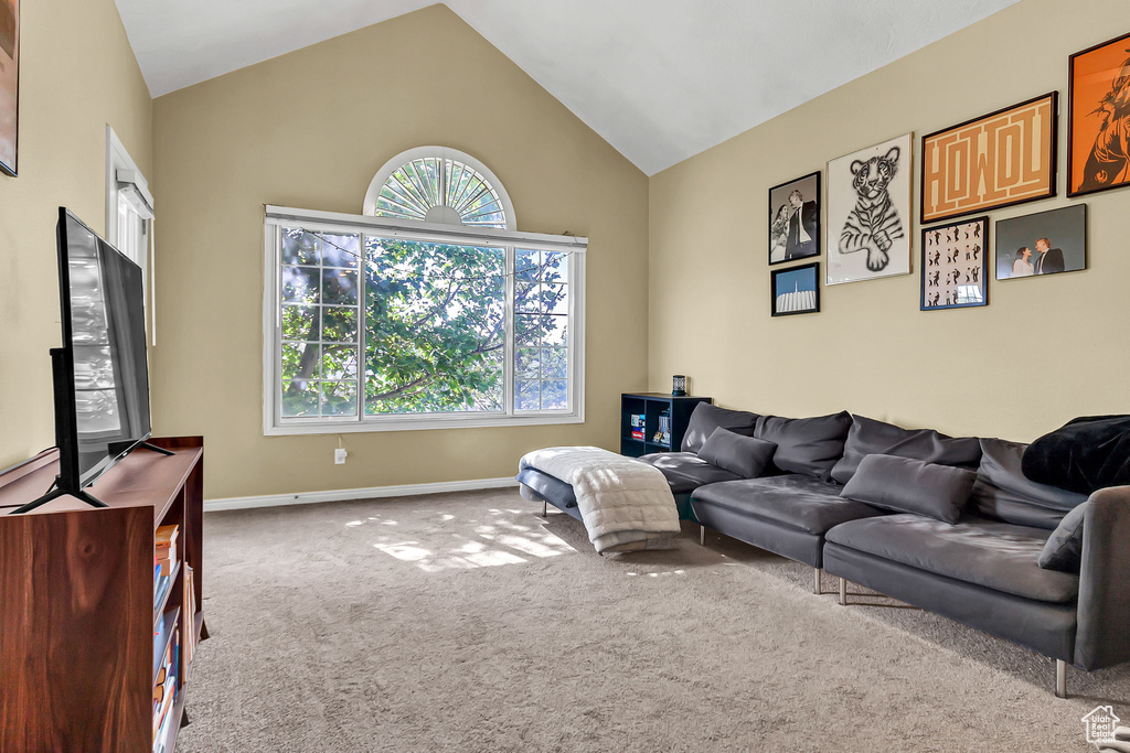 Living room with carpet floors, baseboards, and high vaulted ceiling