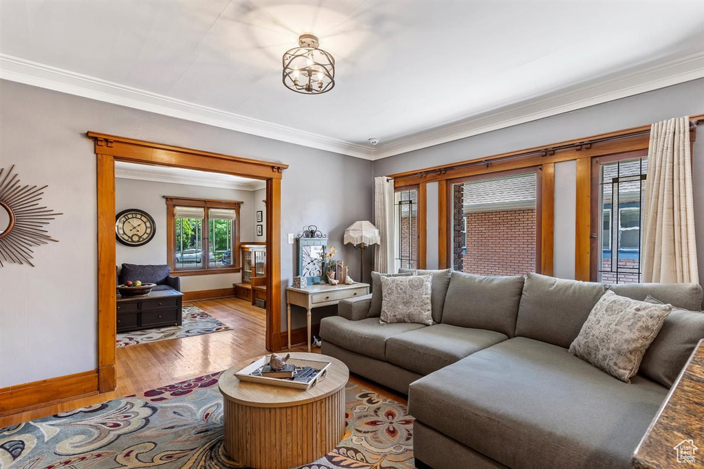 Living room with baseboards, wood finished floors, ornamental molding, and a chandelier