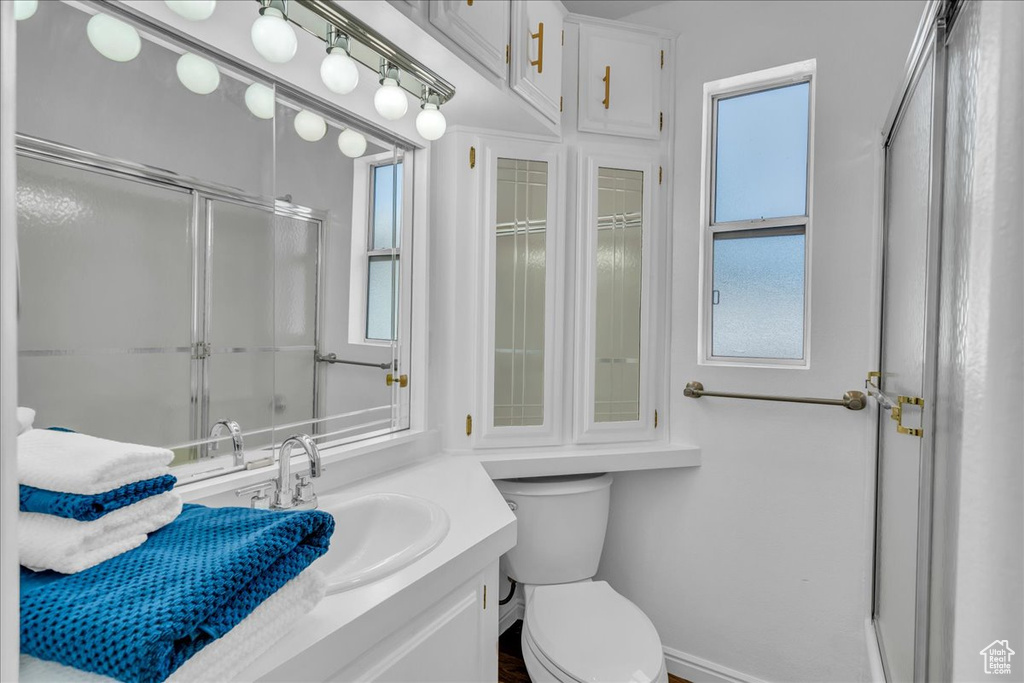 Full bathroom featuring a shower with shower door, vanity, healthy amount of natural light, and toilet
