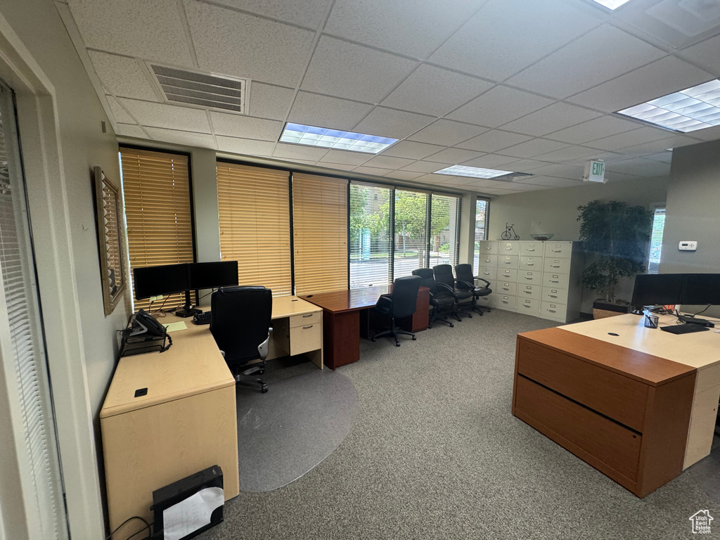 Carpeted home office with a drop ceiling