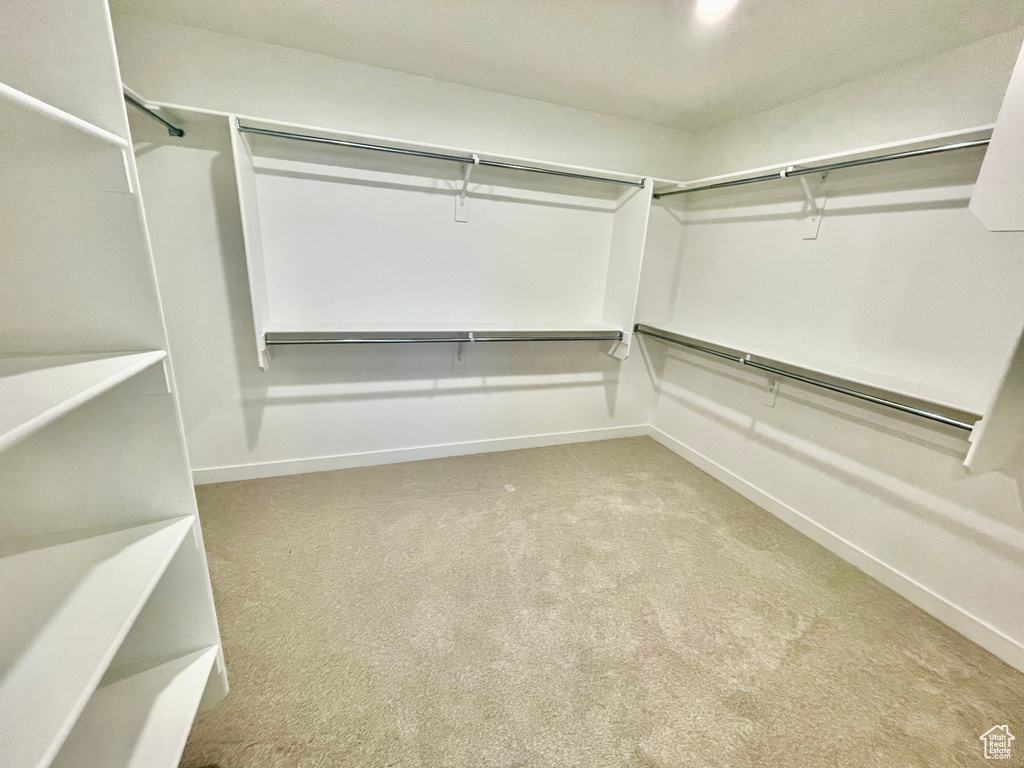 Walk in closet with carpet floors