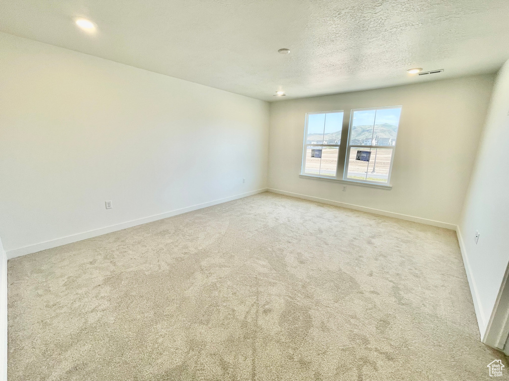 Unfurnished room featuring carpet and a textured ceiling