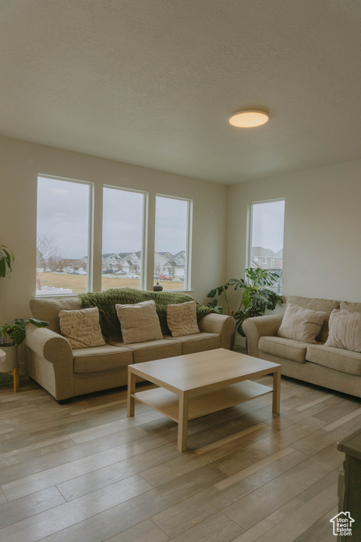 Living area with plenty of natural light and light wood finished floors