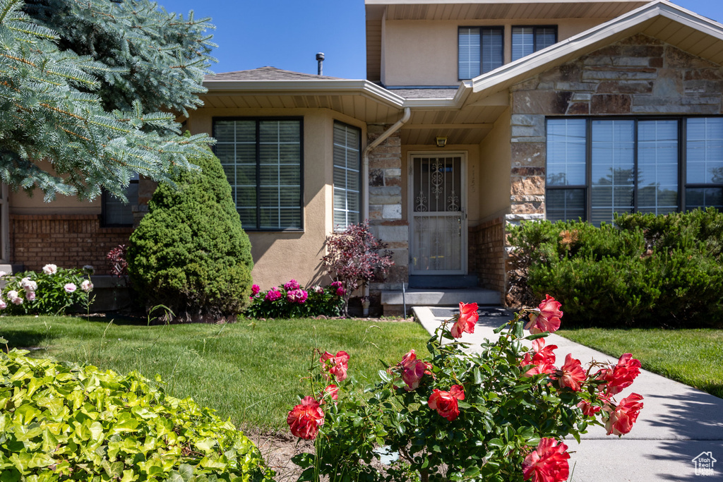 Entrance to property with stone siding, stucco siding, and a lawn