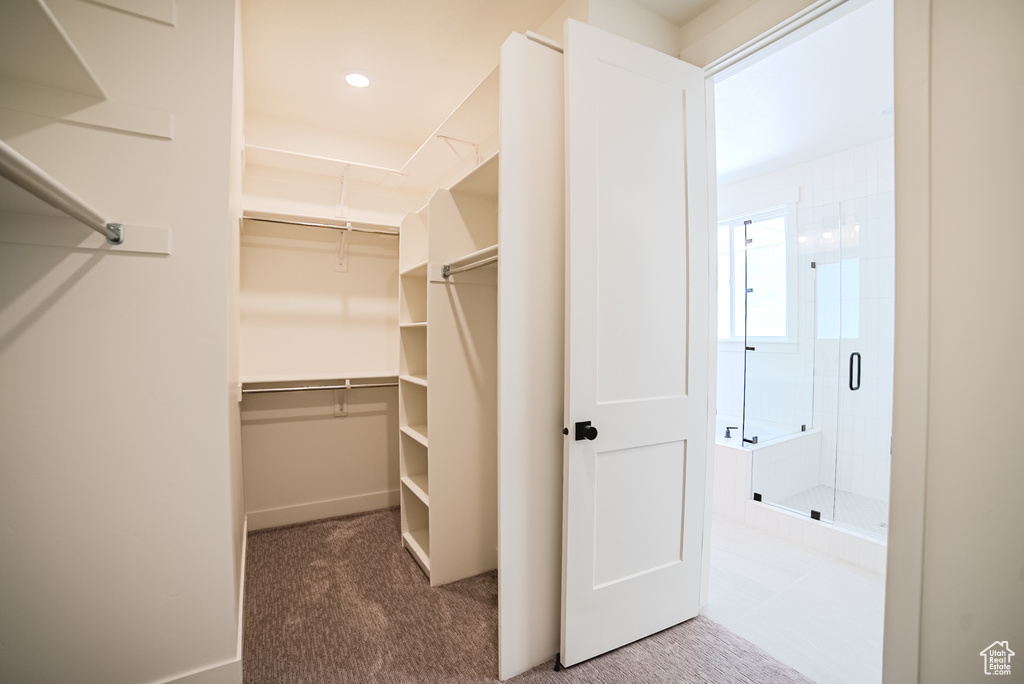 Walk in closet featuring carpet