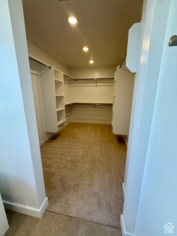 Spacious closet with carpet flooring