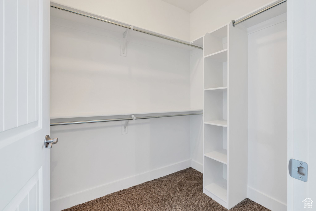 Walk in closet featuring dark carpet