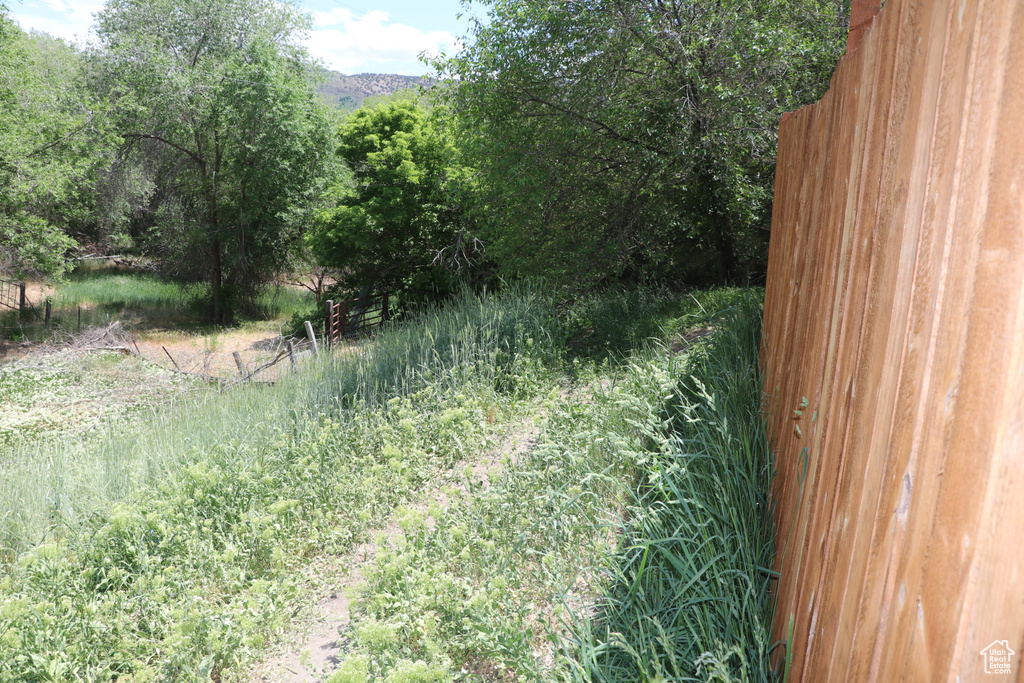 View of undeveloped land