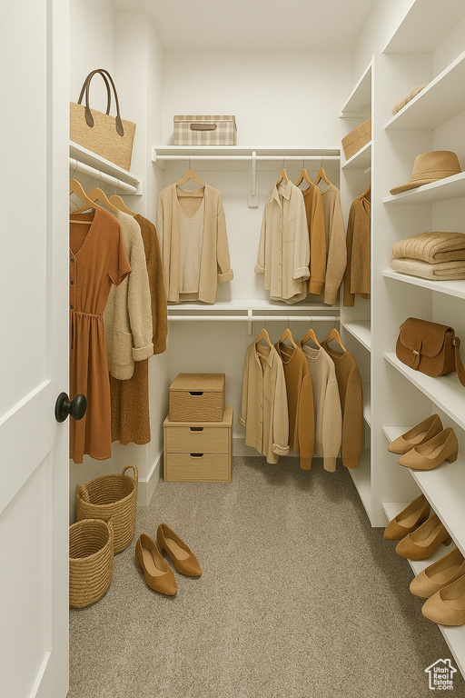 Spacious closet featuring carpet floors