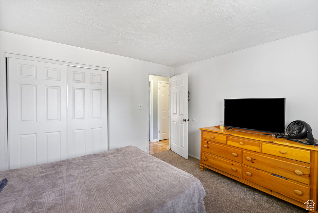 Carpeted bedroom with a closet and a textured ceiling