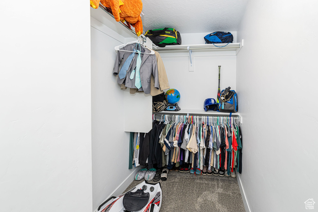 Spacious closet with carpet flooring