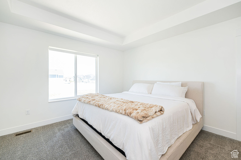 Carpeted bedroom with baseboards and a raised ceiling