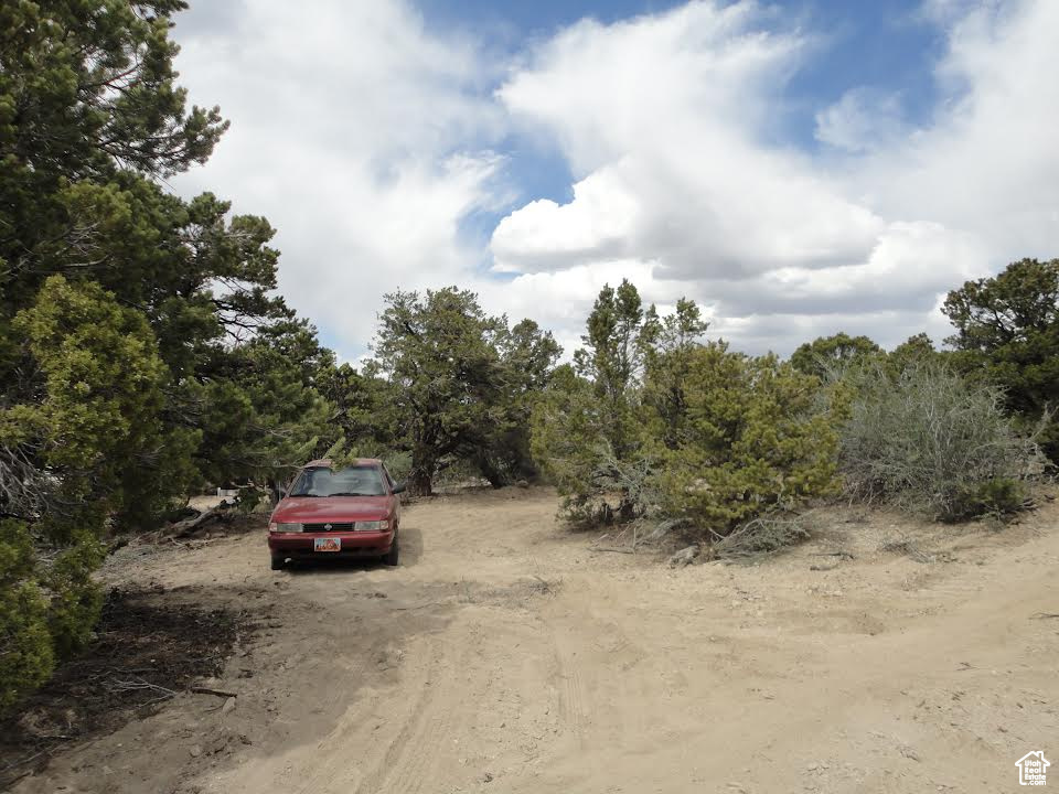 View of dirt / gravel road