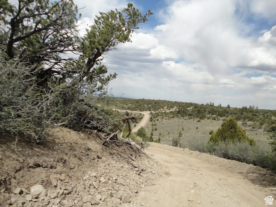 View of undeveloped land