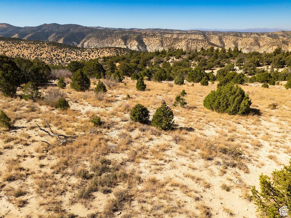 View of mountain background