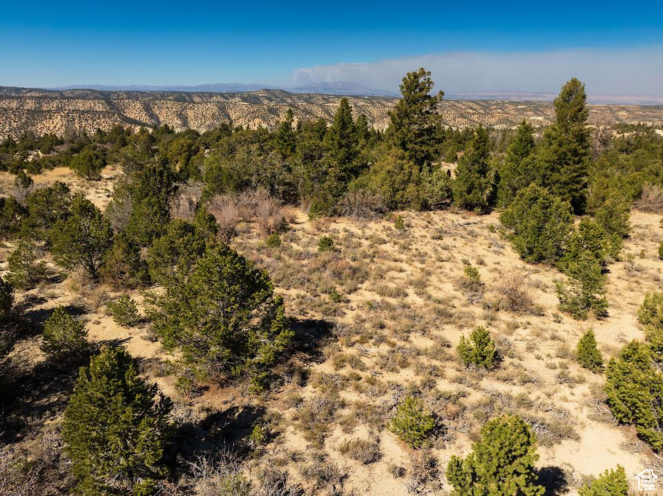 View of mountain background